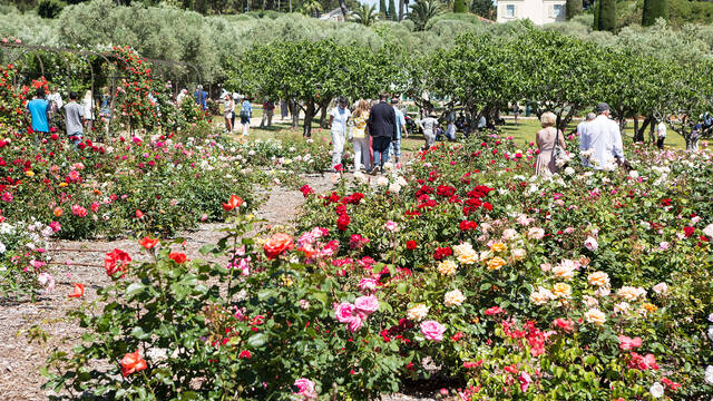 Giardini della Villa Eilenroc ©Mairie d'Antibes Juan-les-Pins, service communication - Jacques Bayle