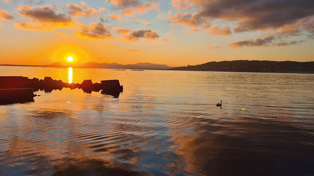 The cap d'Antibes ©L.Coquery