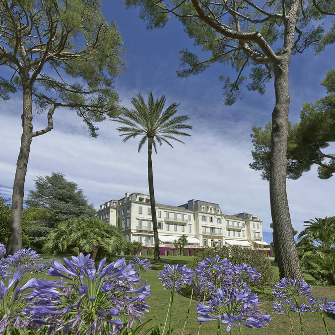 Hôtel du Cap Eden Roc - agapantus in fiore