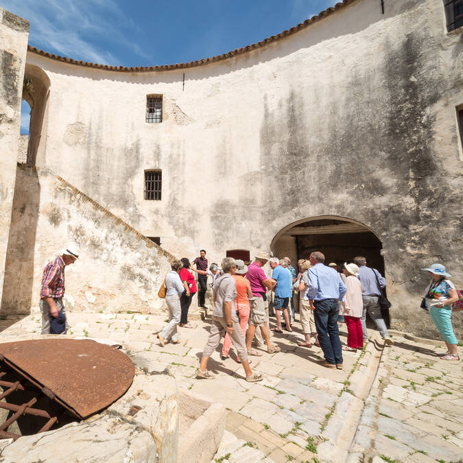 Fort Carré - visite guidée